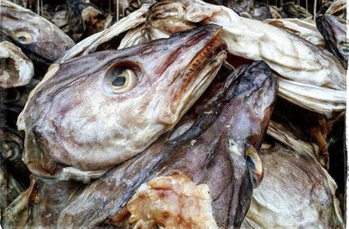 Cod Stockfish Head